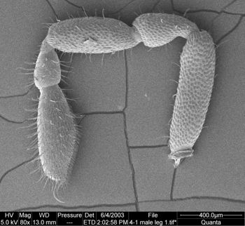 Media type: image; Invertebrate Zoology 134641